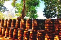 Harrison's Cave and Mount Gay Rum Tour