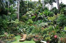 Garden Delight Full-Day Tour in Barbados