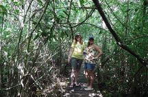 Sian Ka'an Adventure (Private, Full Day)