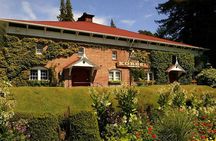 8-hr Beer & Wine Tour of Sonoma/Napa from San Francisco in XL SUV