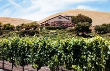 From SF:Sonoma & Napa -8hr Private Wine Tour with Concierge.XLSUV