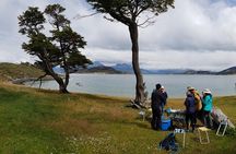 Tierra del Fuego National Park Private Tour