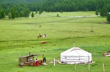 1 Day Tour: Khustai National Park