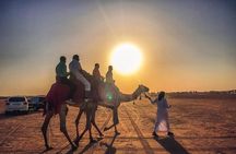 Premium Red dunes safari Camel Safari with bbq dinner live Show's
