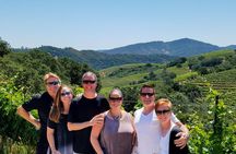 Napa Valley's Best Wine Tour w/ Local Expert