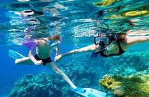 SkyReef Cozumel Snorkel & Tequila Tasting