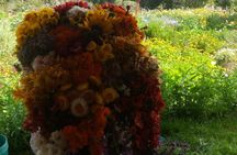 Santa Elena trip: Silleteros and Flower Farm Cultural Tour
