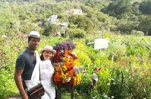 Santa Elena trip: Silleteros and Flower Farm Cultural Tour