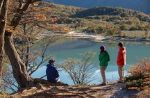 Tierra del Fuego National Park Private Tour