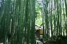 Kamakura Private Tour by Public Transportation