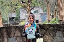 Dujiangyan Panda Volunteering Experience with Lunch