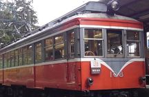 Private Walking Tour of Hakone. Price per group