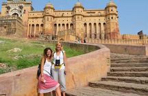Private Same Day Jaipur Trip from Jaipur with Lunch