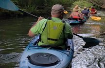 Sunset Tour by Kayak on Sebago Lake Maine