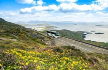 Killarney Super Saver: Dingle and Slea Head Day Trip plus Ring of Kerry and Killarney Lakes Day Trip