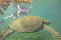 12-Day Cusco, Machu Picchu & Galápagos Islands Tour