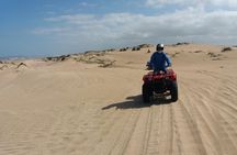 Essaouira: Quad tour forest beach dunes (free transfer)