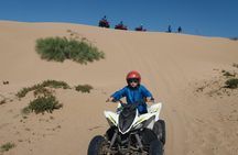 Essaouira: Quad tour forest beach dunes (free transfer)