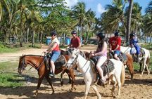 Horseback Riding River swimming From Bayahibe 