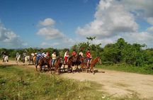 Horseback Riding River swimming From Bayahibe 