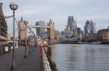 Private Driver Guided Tour of London