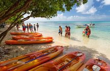  SoCoHo Full Day-Historic Sites-Mangrove Kayak & Reef Snorkeling