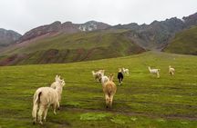 Rainbow Mountain & Red Valley, Private Service.