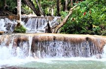 Dunn's River Falls & Luminous Lagoon Guided Tour with Admission from Falmouth