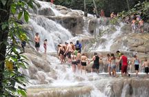 Dunn's River Falls & Luminous Lagoon Guided Tour with Admission from Falmouth