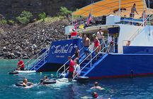 Kona’s Best Morning Snorkel: Captain Cook & Kealakekua Bay