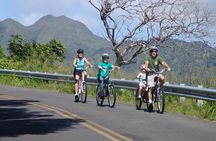 Full Day Oahu Bike, Hike, Sail and Snorkel Combo