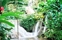 Dunn's River Falls and Ocho Rios Shopping Tour from Montego Bay Hotels