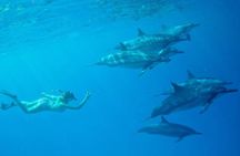 Private Charter: Customizable Big Island Boat Adventure
