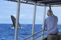 Private Charter: Customizable Big Island Boat Adventure