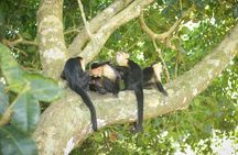 Manuel Antonio Park Tour