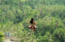Ubud Private Tours with Jungle Swing Experience - all inclusive