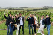 Wine Lovers - Punta Wine Experience