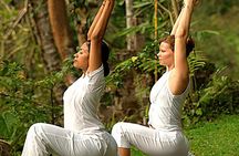 Bali Ubud Yoga Class