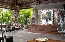 Bali Ubud Yoga Class