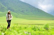 Day Tour - Golden Sunrise Mount Bromo via Malang (Sharing Tour)