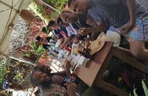 Ocho Rios For A Day / Private Customizable Tours / Jamaica Dream Vacation