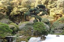 Kamakura Full-Day Private Tour