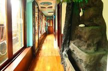 5 Day Kerala Private houseboat incl. Resort, Hotel, Cab Tourved
