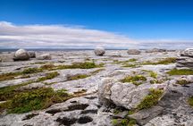 Dublin to Cliffs of Moher, including Wild Atlantic Way and Galway