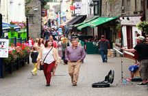 Dublin to Kilkenny, Wicklow, Glendalough, Laragh Sheep Dog Trial