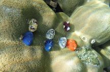 Snorkel Adventure Sea Tour to Koh Rok and Koh Haa from Koh Lanta