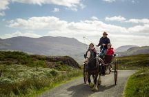 The Gap of Dunloe Adventure Day Tour from Killarney