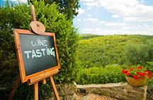 Marsala, Tasting in the Winery & Laguna Of Mothia by Boat