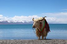 8-Days Heavenly Himalayas- LEH-LADAKH