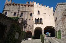 From Venice, Tour to the Walled Town Of Monselice